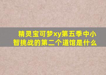 精灵宝可梦xy第五季中小智挑战的第二个道馆是什么