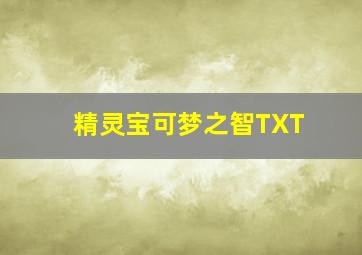 精灵宝可梦之智TXT