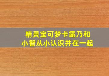 精灵宝可梦卡露乃和小智从小认识并在一起