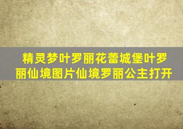 精灵梦叶罗丽花蕾城堡叶罗丽仙境图片仙境罗丽公主打开