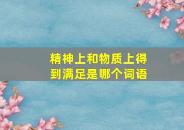 精神上和物质上得到满足是哪个词语