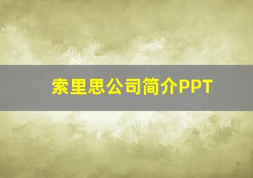 索里思公司简介PPT