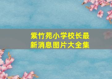 紫竹苑小学校长最新消息图片大全集