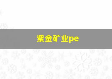 紫金矿业pe