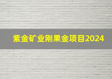 紫金矿业刚果金项目2024