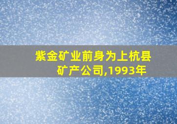 紫金矿业前身为上杭县矿产公司,1993年