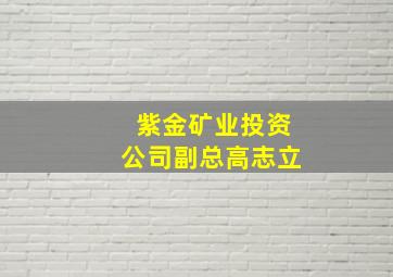 紫金矿业投资公司副总高志立