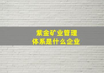 紫金矿业管理体系是什么企业