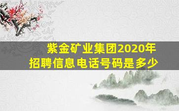 紫金矿业集团2020年招聘信息电话号码是多少