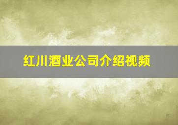 红川酒业公司介绍视频