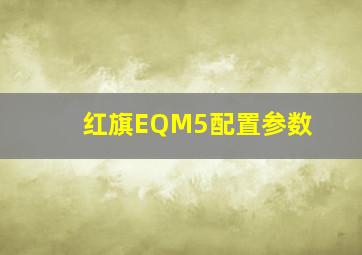 红旗EQM5配置参数