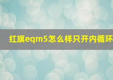 红旗eqm5怎么样只开内循环