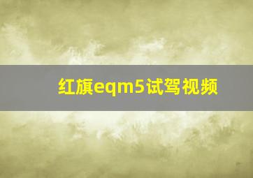 红旗eqm5试驾视频