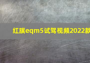 红旗eqm5试驾视频2022款