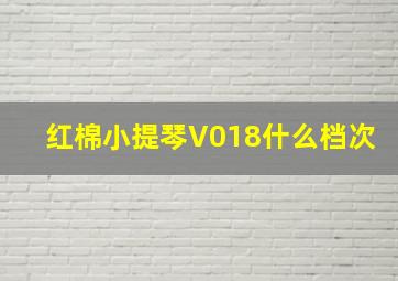 红棉小提琴V018什么档次