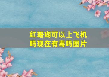 红珊瑚可以上飞机吗现在有毒吗图片