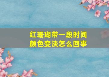 红珊瑚带一段时间颜色变淡怎么回事