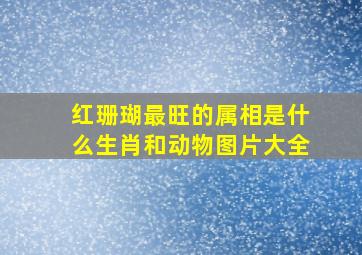 红珊瑚最旺的属相是什么生肖和动物图片大全