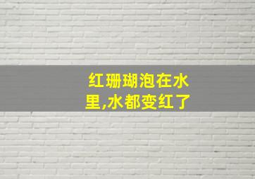 红珊瑚泡在水里,水都变红了