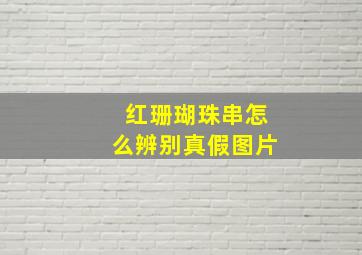 红珊瑚珠串怎么辨别真假图片