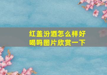 红盖汾酒怎么样好喝吗图片欣赏一下