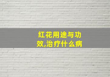 红花用途与功效,治疗什么病