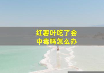 红薯叶吃了会中毒吗怎么办