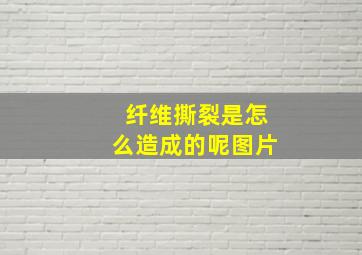 纤维撕裂是怎么造成的呢图片