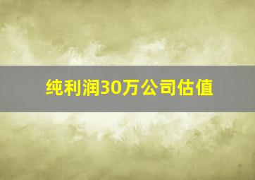 纯利润30万公司估值