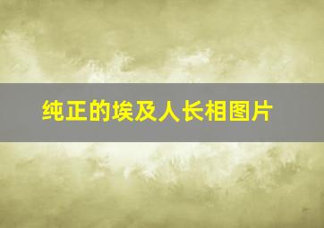 纯正的埃及人长相图片