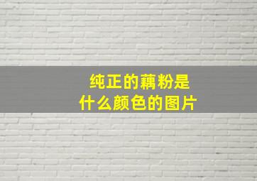 纯正的藕粉是什么颜色的图片