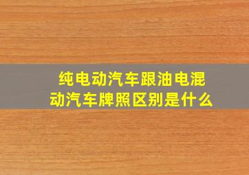 纯电动汽车跟油电混动汽车牌照区别是什么