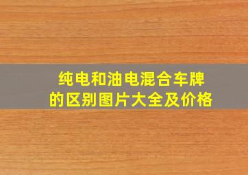 纯电和油电混合车牌的区别图片大全及价格