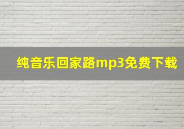 纯音乐回家路mp3免费下载