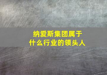 纳爱斯集团属于什么行业的领头人