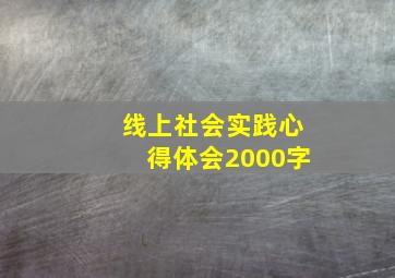 线上社会实践心得体会2000字