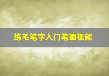 练毛笔字入门笔画视频