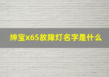 绅宝x65故障灯名字是什么