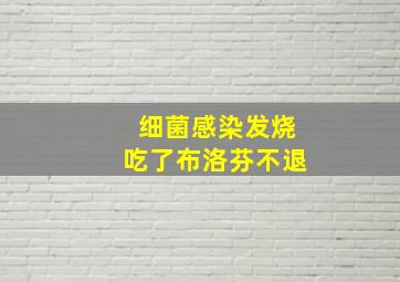 细菌感染发烧吃了布洛芬不退