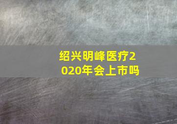 绍兴明峰医疗2020年会上市吗