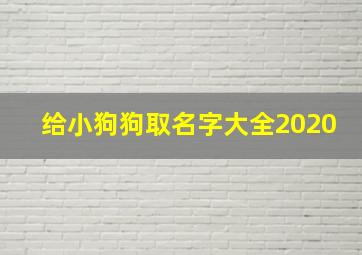 给小狗狗取名字大全2020