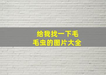 给我找一下毛毛虫的图片大全