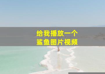 给我播放一个鲨鱼图片视频