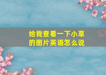 给我查看一下小草的图片英语怎么说