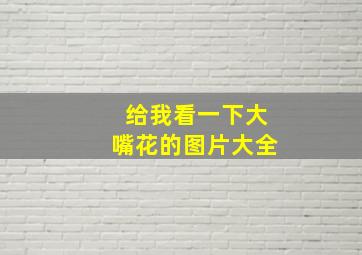 给我看一下大嘴花的图片大全