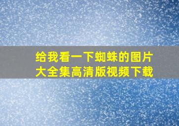 给我看一下蜘蛛的图片大全集高清版视频下载