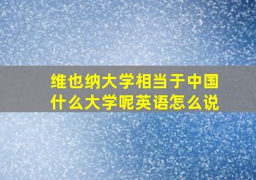 维也纳大学相当于中国什么大学呢英语怎么说