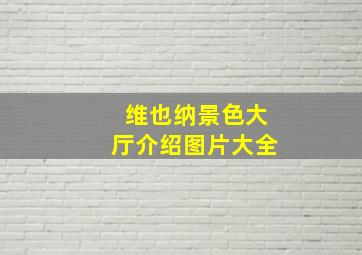 维也纳景色大厅介绍图片大全