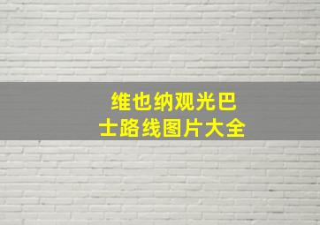 维也纳观光巴士路线图片大全