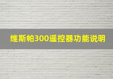 维斯帕300遥控器功能说明